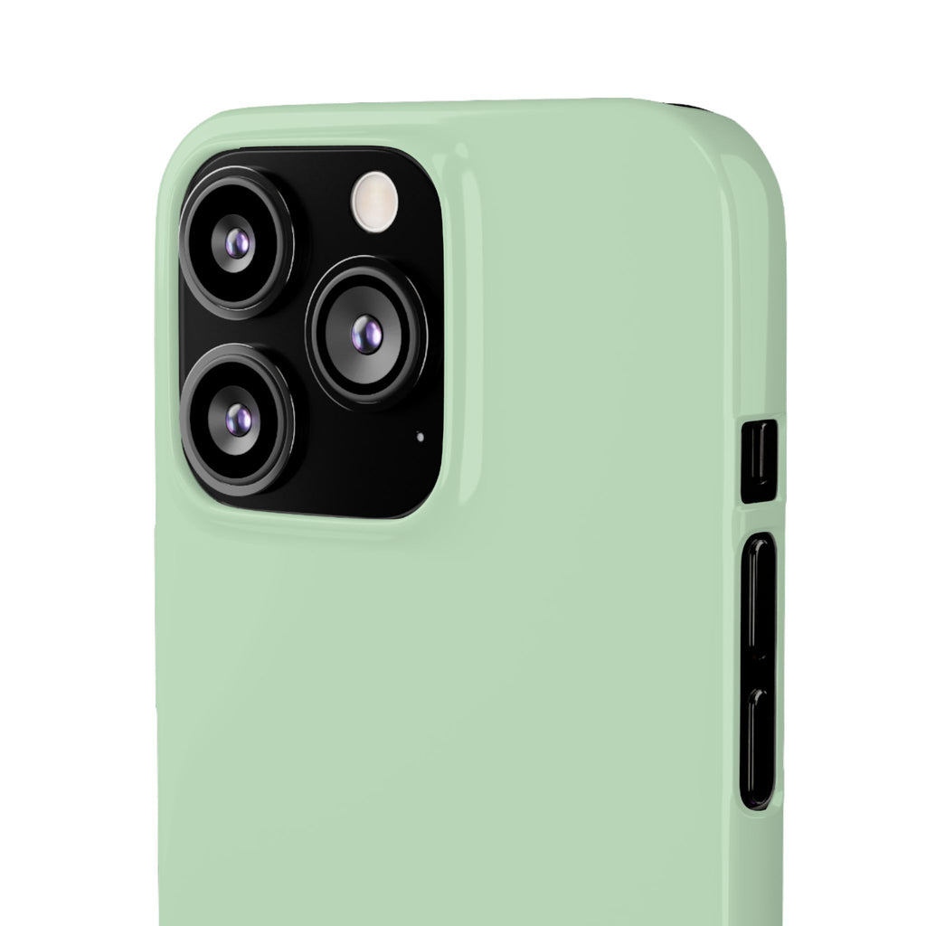 Mint Snap Phone Case