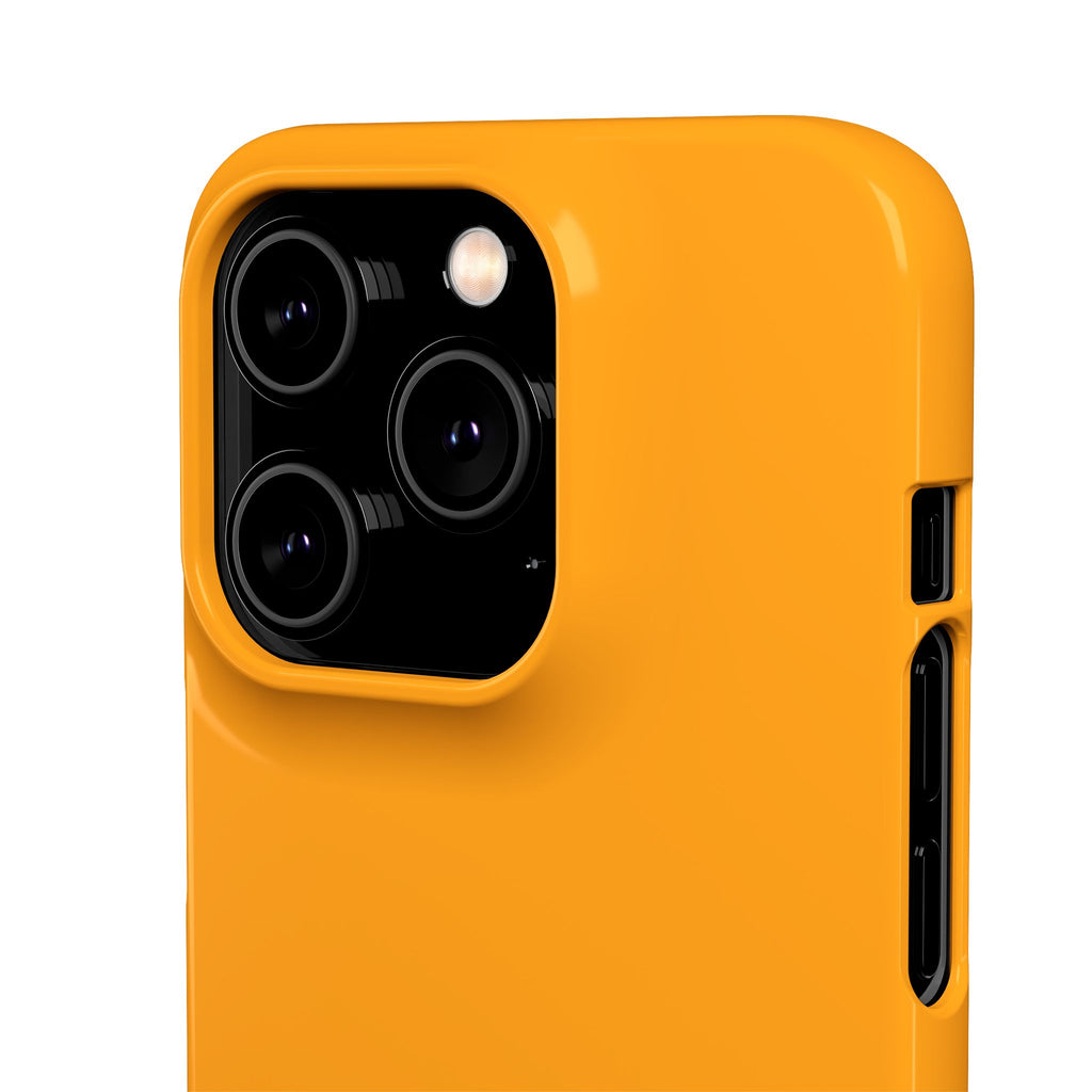 Mandarin Snap Phone Case