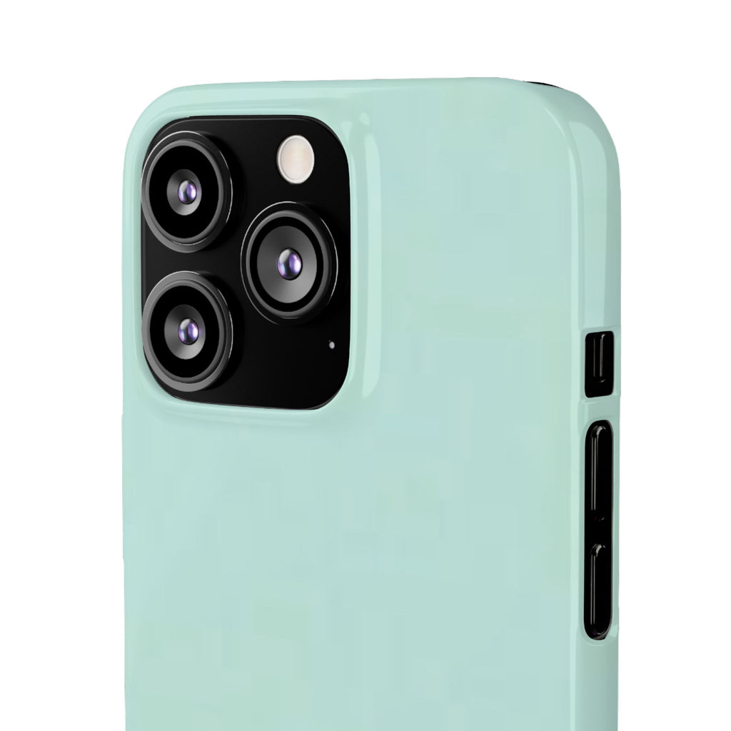 Light Mint Snap Phone Case