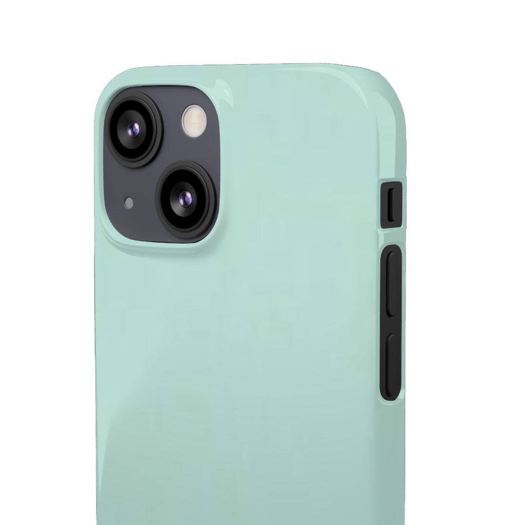 Light Mint Snap Phone Case